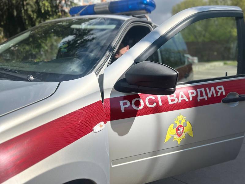 В Московской области сотрудники Росгвардии задержали подозреваемого в краже электроинструментов
