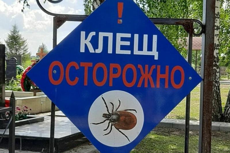 Более 1,2 тысячи человек за неделю пострадали от клещей в Новосибирской области