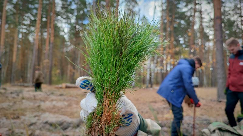 Росгвардейцы приняли участие во Всероссийской акции по восстановлению лесов в Тамбовской области