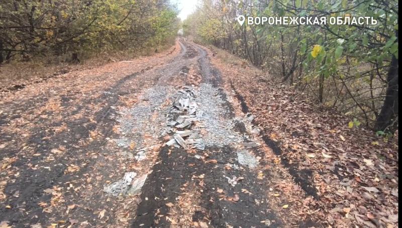 Жители Нижнедевицкого района просят обустроить кратчайшую дорогу между Курбатово и Верхним Турово