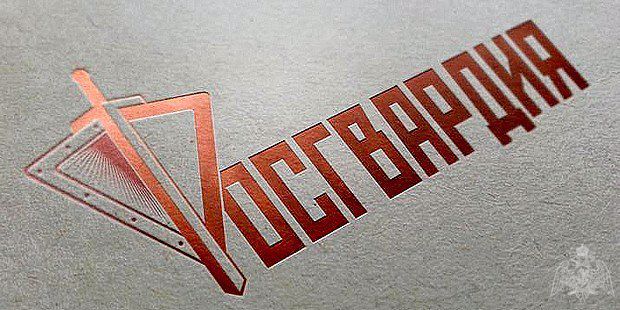 Сотрудники Росгвардии изъяли 12 единиц оружия в Ивановской области за неделю