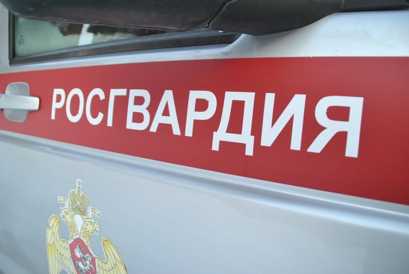 В Кирове росгвардейцы задержали подозреваемого в порче витража