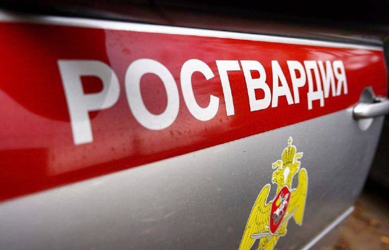 В Московской области росгвардейцы задержали подозреваемого в ранее совершенной краже из сетевого магазина