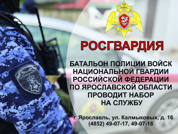 Ярославские росгвардейцы пресекли 20 административных правонарушений за прошедшую неделю
