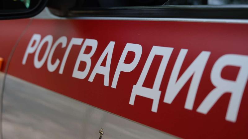 Итоги работы сотрудников вневедомственной охраны за неделю в Тамбовской области