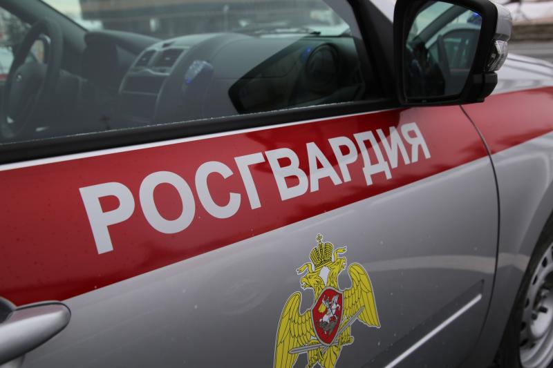 В Саранске росгвардейцы выявили и задержали пьяного водителя