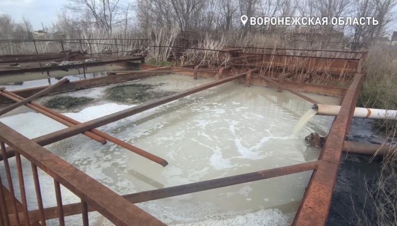 Дышать невозможно: в поселке под Воронежем нечистоты продолжают сливать на не работающие очистные.