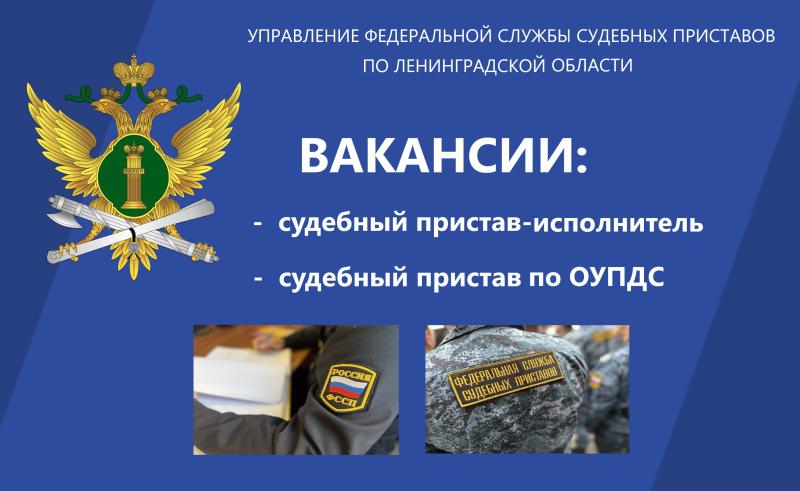 Вступай в ряды судебных приставов!