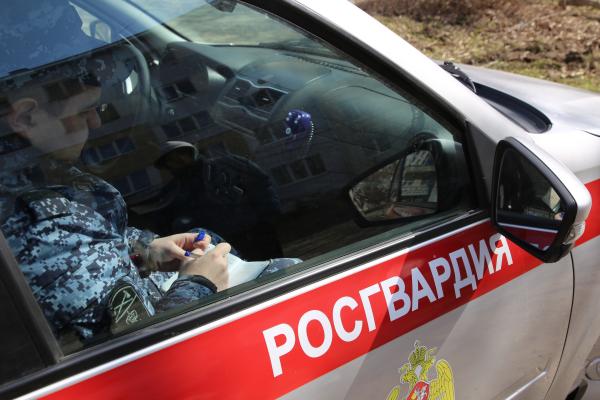 В Мордовии росгвардейцы пресекли движение автомобиля под управлением нетрезвого водителя