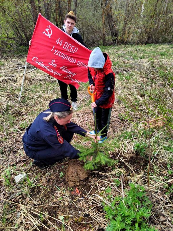 В Подмосковье сотрудники Росгвардии приняли участие в патриотической акции “Лес Победы”