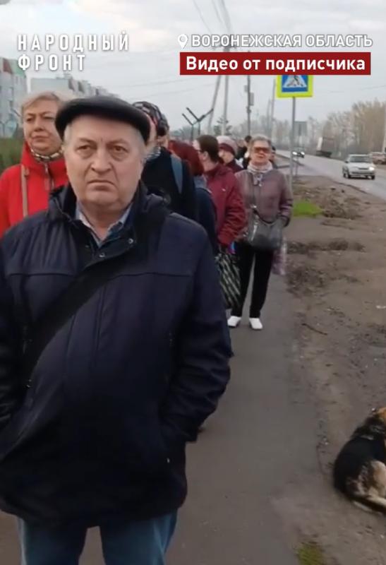 Жители трех сел Новоусманского района пожаловались на транспортное обслуживание