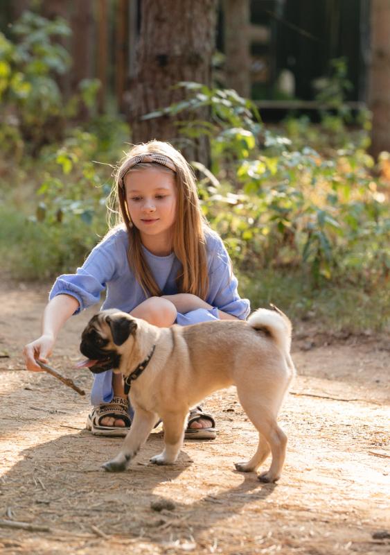 Новый уровень «дог-френдли»: энерго-отель «Ново-Окатово» разработал уникальные услуги для собак и их владельцев
