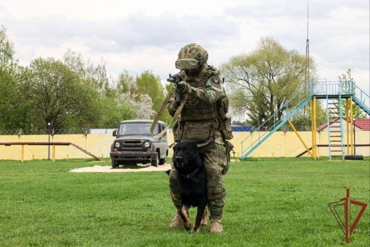 Представителей институтов гражданского общества познакомили с работой кинологического центра Росгвардии