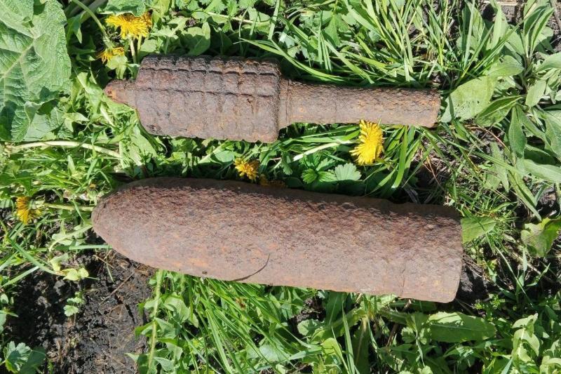 Взрывотехники Росгвардии в Тамбовской области обезвредили боеприпасы времен гражданской войны