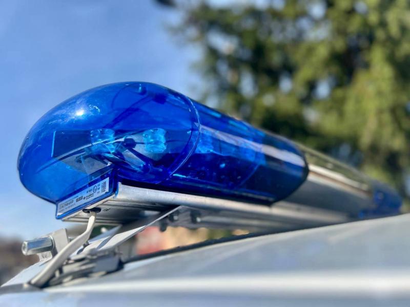 «Шоппинг» с запахом преступления пресекли росгвардейцы в Подмосковье