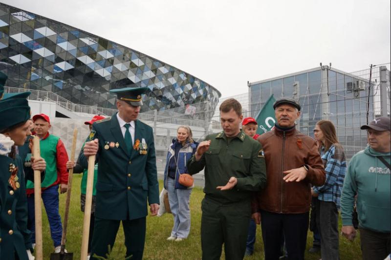 80 молодых елей высадили в честь Дня Победы в Новосибирске