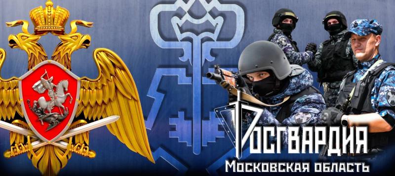 Росгвардия запустила многофункциональные сайты вневедомственной охраны Москвы и Подмосковья