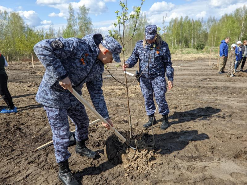 Сотрудники Росгвардии приняли участие в эколого-патриотической акции «Лес Победы».