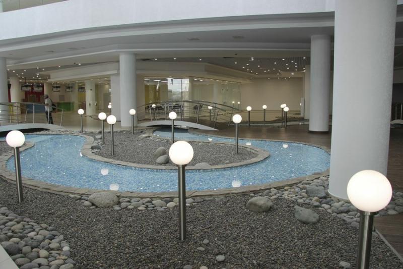 Новосибирский бизнесмен Николай Манцуров купил долг основателя Аквапарка