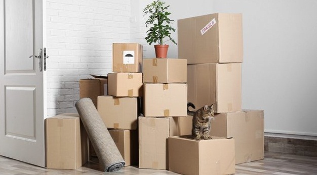 Надёжные руки для погрузки и разгрузки в Минске