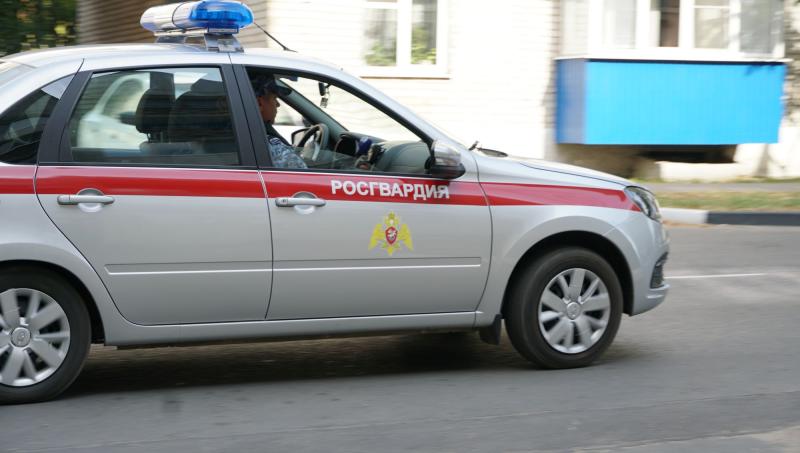 Росгвардейцы пресекли кражу с охраняемого объекта в Брянской области