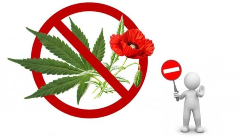 Сотрудники транспортной полиции проводят оперативно-профилактическую операцию "МАК-2025"