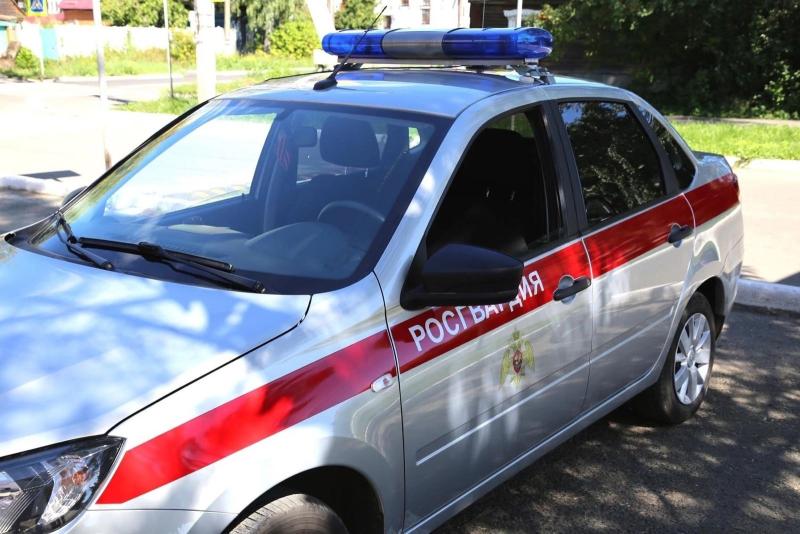 В Мордовии экипаж Росгвардии выявил  и задержал нетрезвую автоледи