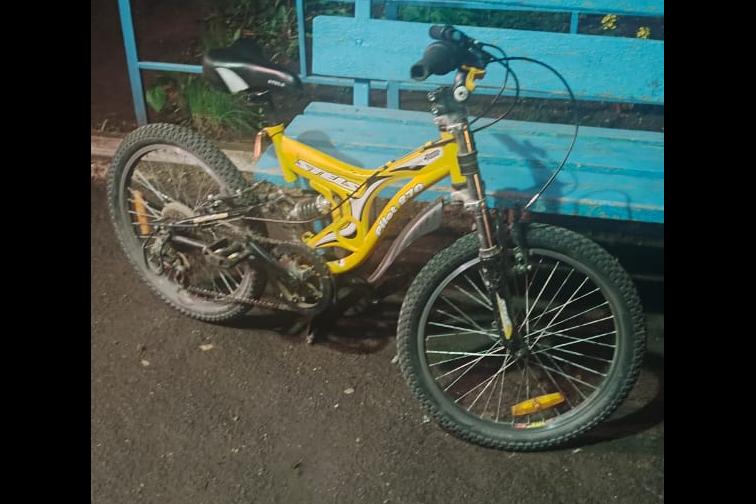 Росгвардейцы задержали мужчину по подозрению в краже велосипеда в Тамбове