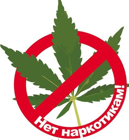 Жительница Ижевска осуждена к реальному лишению свободы за незаконное приобретение и хранение наркотических средств