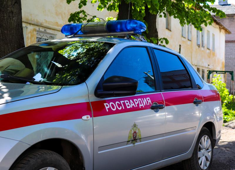 Сотрудники Росгвардии задержали жителя Марий Эл, уклонявшегося от административного надзора