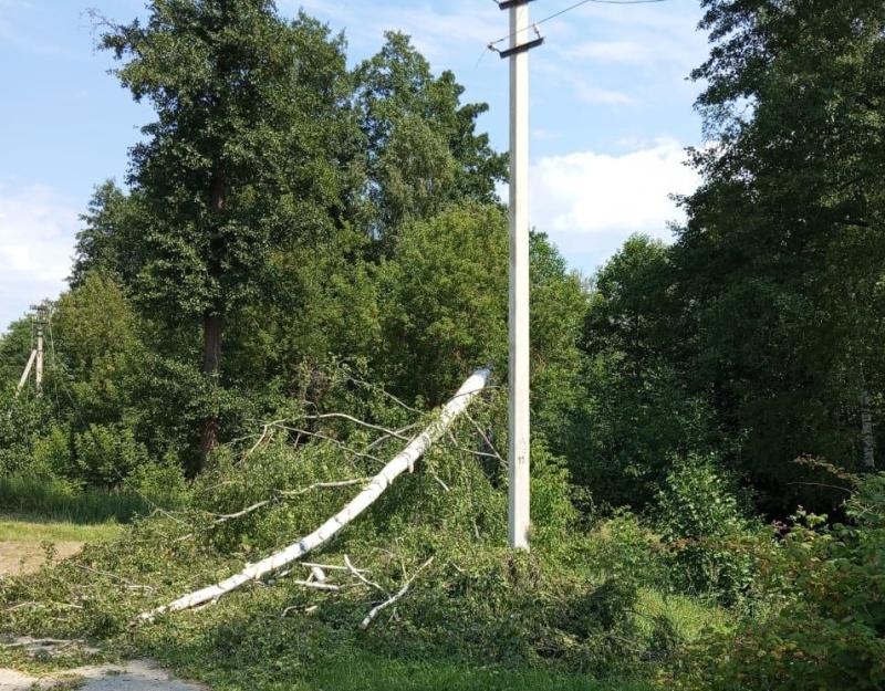 Энергетики филиала «Рязаньэнерго» устраняют локальные нарушения электроснабжения после прохождения грозового фронта