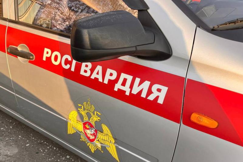 Барун-Хемчикские росгвардейцы задержали совершившую обманный перевод женщину