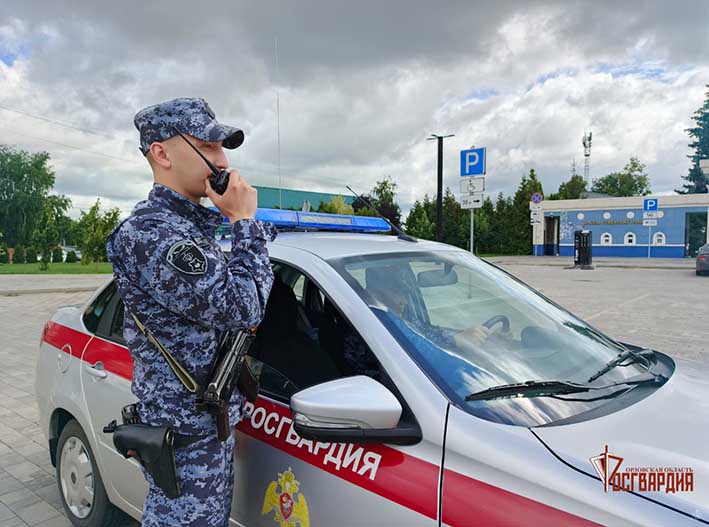 За неделю сотрудники Росгвардии задержали десять лиц, подозреваемых в совершении правонарушений на охраняемых объектах