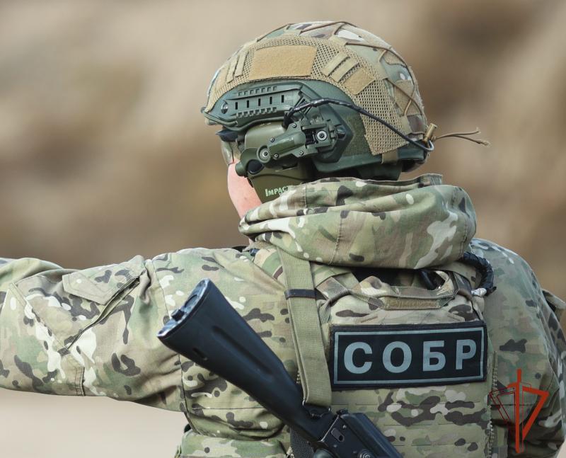 В Туве при силовой поддержке СОБР Росгвардии раскрыты два преступления и изъято два ранее похищенных сотовых телефона