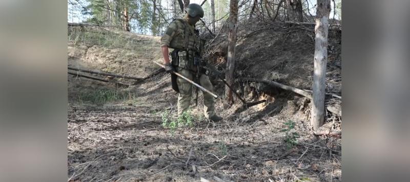 В ЛНР росгвардейцы обнаружили боеприпасы и экстремистские материалы украинских боевиков