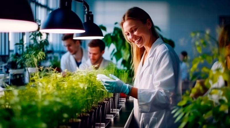 Рынок биологических средств защиты растений в России может достигнуть 40 млрд рублей к 2030 году – РСХБ