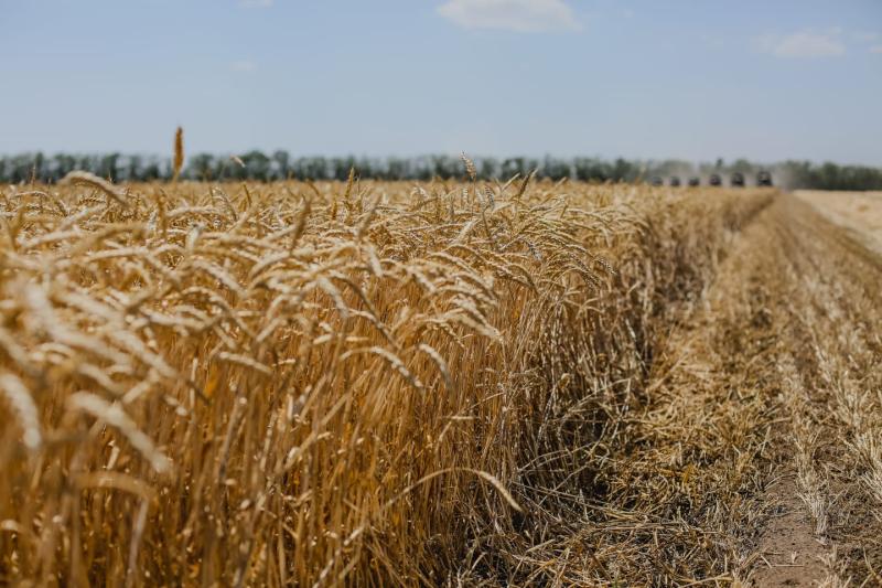 Россельхозбанк увеличил финансирование сельхозпроизводителей Орловщины на 12%