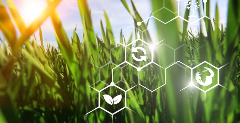 Рынок биологических средств защиты растений в России может достигнуть 40 млрд рублей к 2030 году