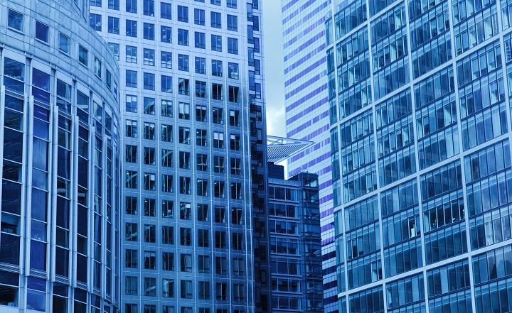 От песка к городу будущего: ELEMENT установил на намыве Васильевского острова стеклянного верблюда