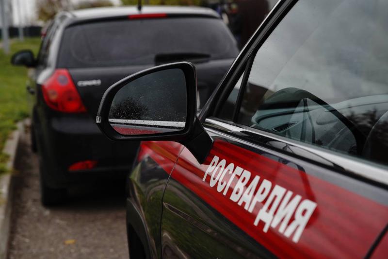 В Ардатовском районе республики при участии росгвардейцев задержаны два нетрезвых водителя