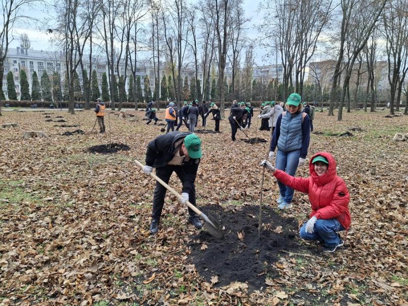 Волонтеры фонда «Милосердие» украсили новыми саженцами Быханов сад в Липецке