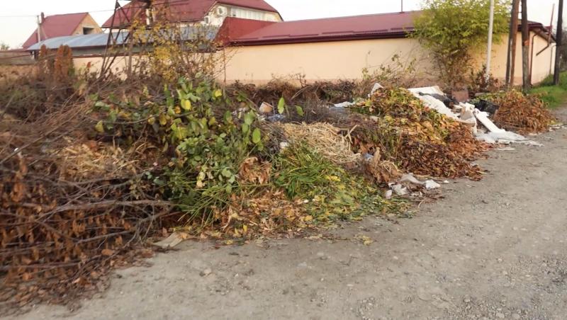 В Прохладном двухмесячная свалка отравляет жизнь целому кварталу
