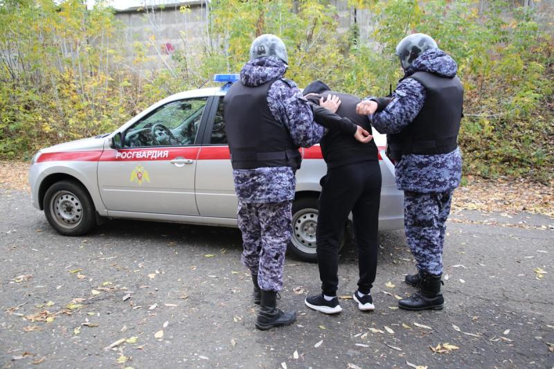 В Мордовии за прошедшую неделю экипажи Росгвардии более 80 раз выезжали по сигналу "Тревога"