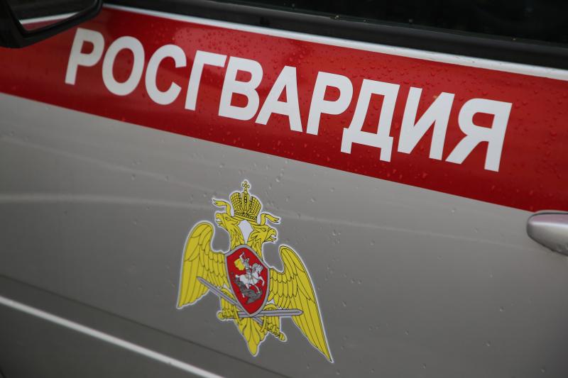 В Мордовии росгвардейцы задержали дебошира