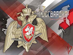 За месяц росгвардейцы приняли порядка 900 заявлений на получение государственных услуг