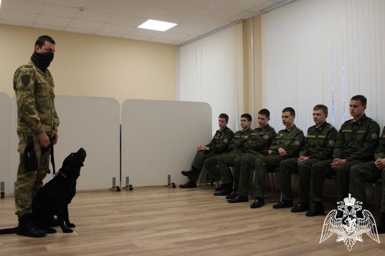 Смоленской области кинологи Росгвардии рассказали смоленским кадетам о правилах безопасности и своей профессии