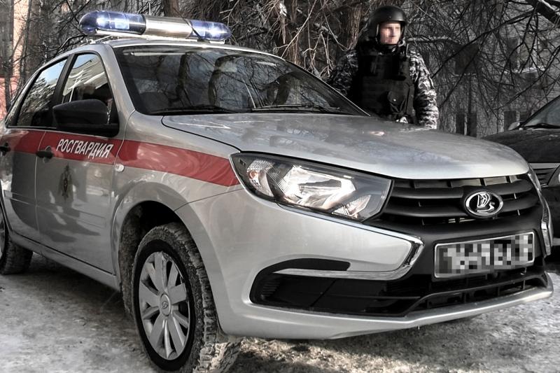 В Казани сотрудники Росгвардии задержали подозреваемого в краже товаров из торгового центра